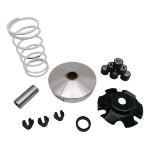 Variateur Malossi – Piaggio 4 Takt en 2 Takt motoren – 5111597 – 2