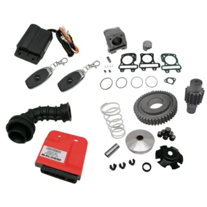 80cc Malossi Need for Speed Bundle - Sprint / Primavera - 4T 3V Euro4 iGet motoren