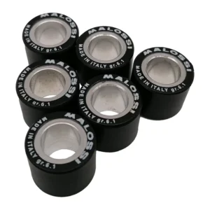 Malossi Variorollen 19 x 15,5 mm - 6 stuks -  LX / Sprint / Primavera / Zip - 50cc