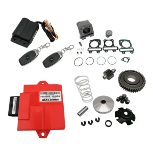 80cc Malossi Need for Speed Bundle - Sprint / Primavera - 4T 3V Euro5 iGet motoren