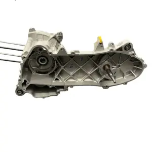 Compleet Carter - Vespa Sprint / Primavera - Euro4 / Euro5 - Snor Uitvoering - 1A008970